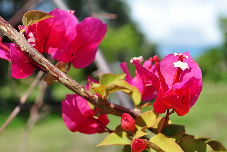 DSC_0406.jpg DSC_0406.jpg
